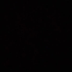 Meet your Posher, Tony